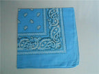 Light blue square bandana with a traditional white and black paisley floral print border.
