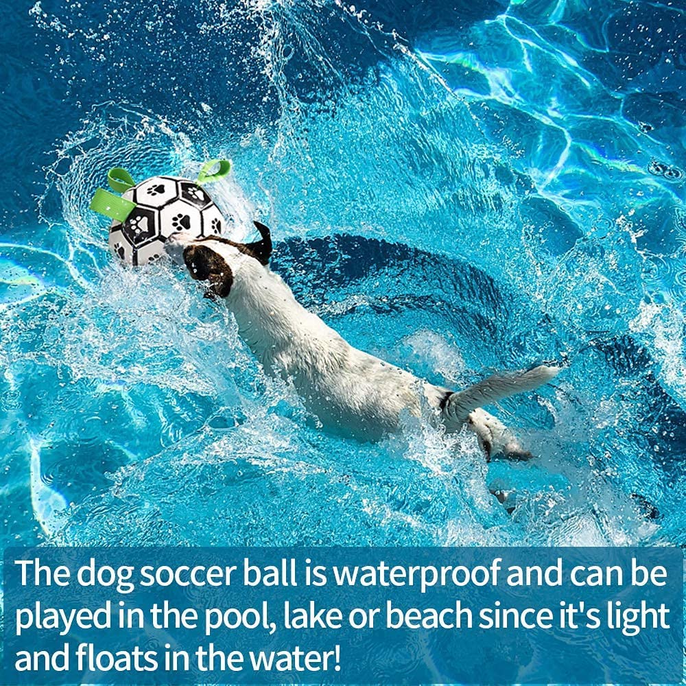 A dog splashes in a pool with a black-and-white soccer ball toy featuring green carry tabs.