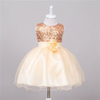 Champagne baby dress featuring a rose gold sequined bodice, satin waist, and full tulle skirt with a floral accent.