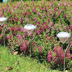 Four solar-powered diamond-shaped LED garden lights with silver stakes, placed in a garden with pink flowers and grass.