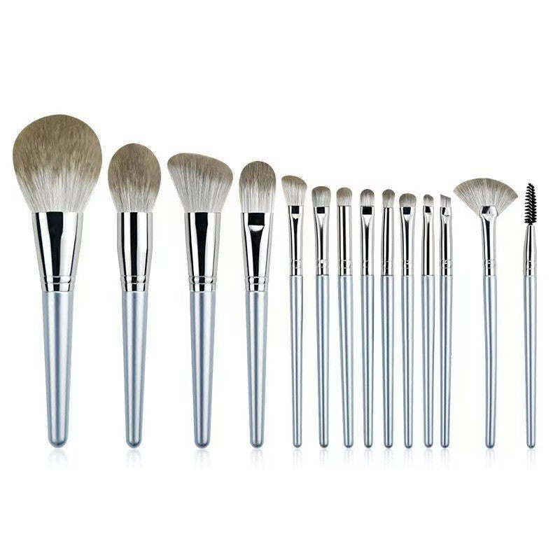 Set of 13 makeup brushes with soft, two-tone bristles and sleek, metallic silver handles on a white background.