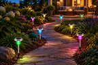 8-pack solar pathway lights in a backyard