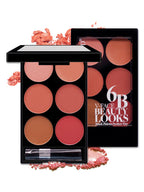 Digitaldistribution375 six-color blush palette in black case with applicator brush, featuring various pink and red tints.