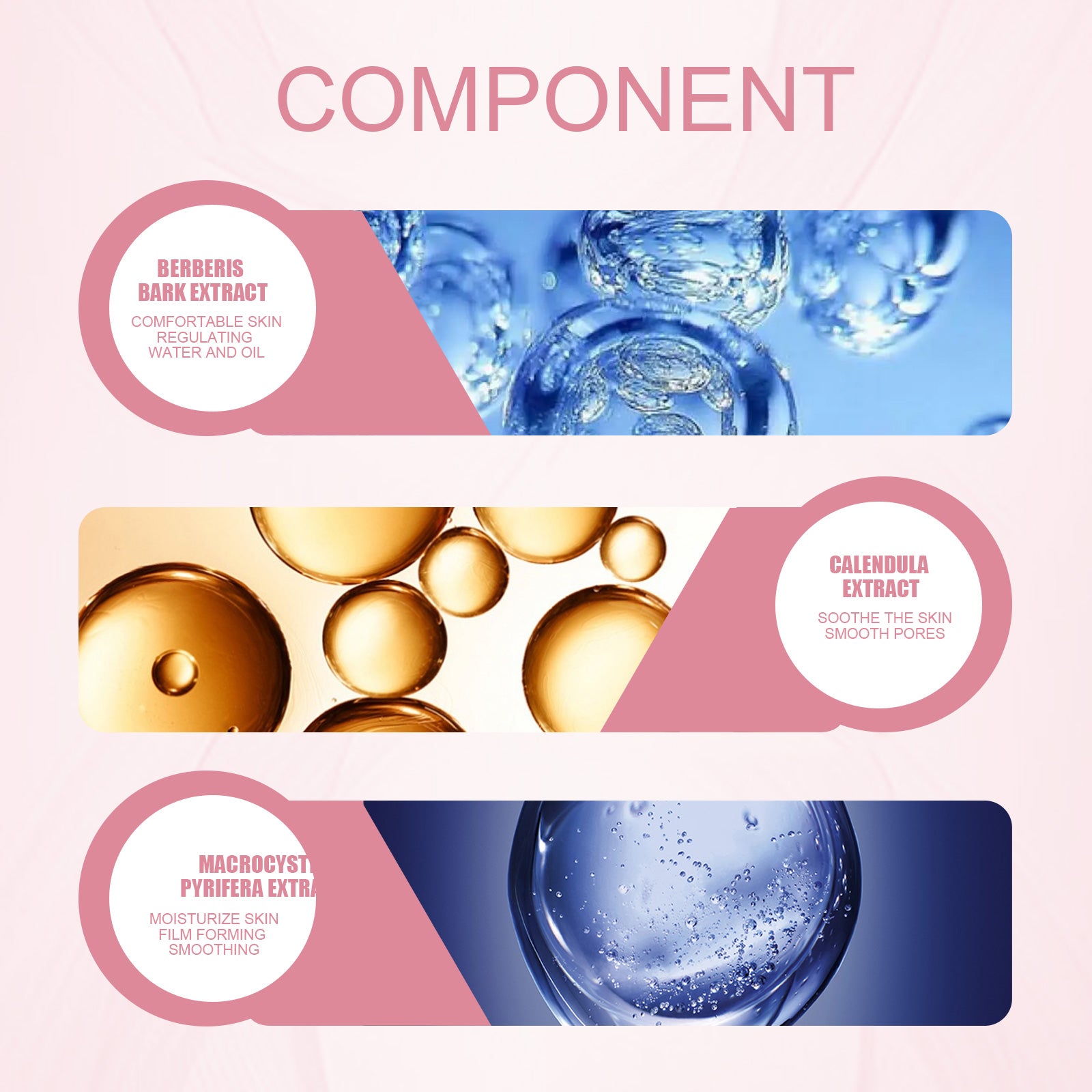 Infographic showing EELHOE makeup base gel ingredients: Berberis bark, calendula, and macrocystis in blue/gold gel icons.