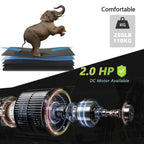Treadmill graphic: elephant on cushioned belt, 250lb weight icon, and 2.0 HP motor breakdown.