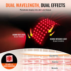 Red light therapy belt showing 660nm and 850nm wavelengths penetrating skin layers from epidermis to muscle.