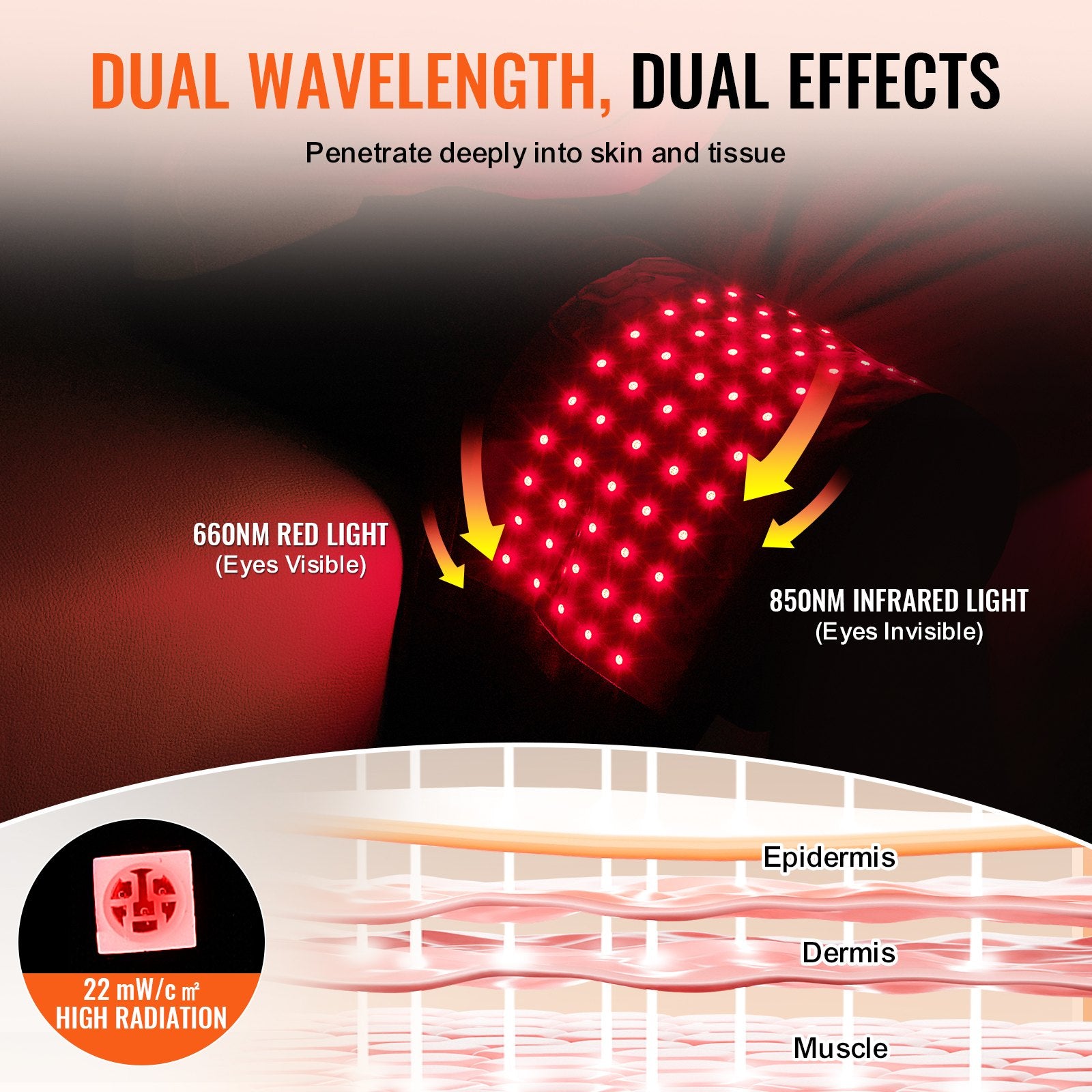 Red light therapy belt showing 660nm and 850nm wavelengths penetrating skin layers from epidermis to muscle.