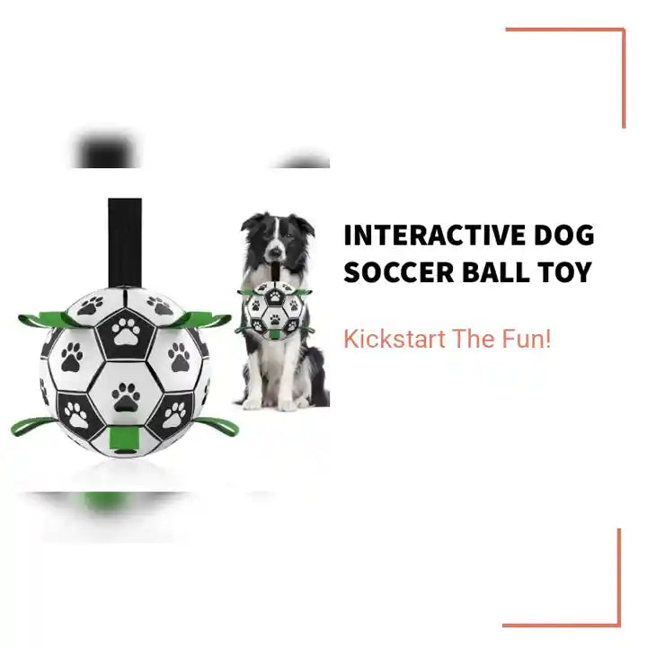 Interactive Dog Soccer Ball Toy by@Outfy