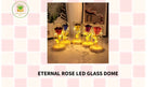 Eternal Rose LED Glass Dome by@Outfy