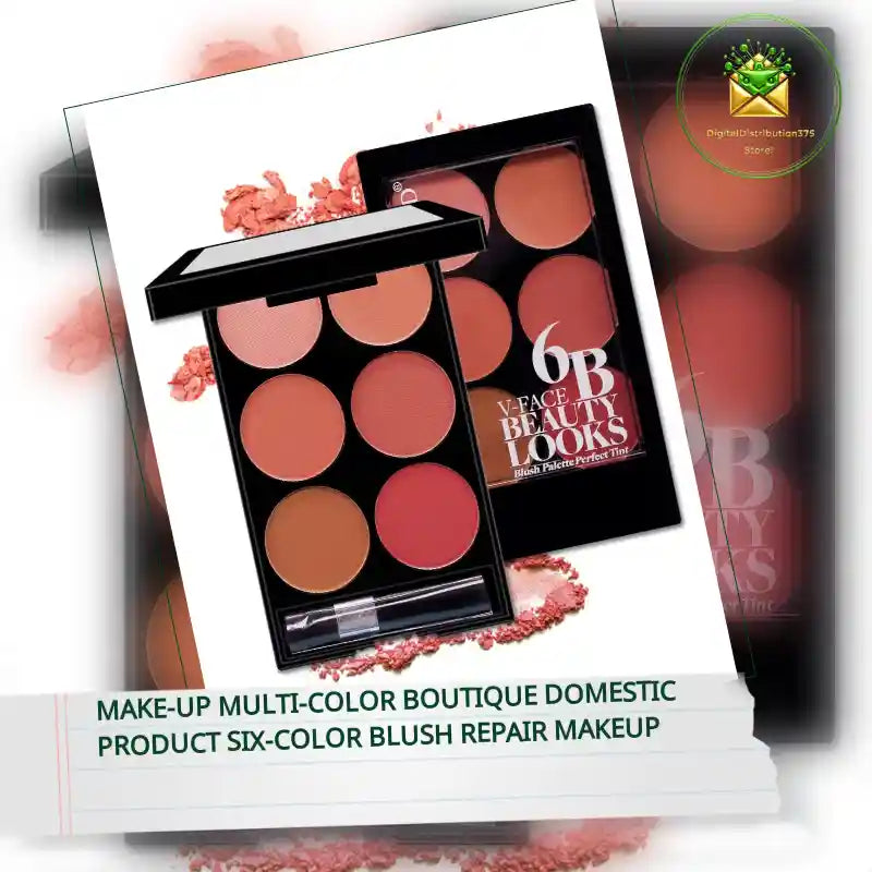 Make-up Multi-color Boutique Domestic Product Six-color Blush Repair Makeup by@Outfy